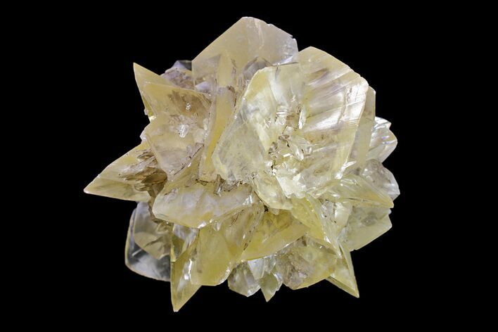 Twinned Selenite Crystals (Fluorescent) - Red River Floodway #154405